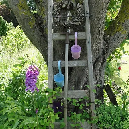 Blue Water 1 * Wustrow (Fischland)