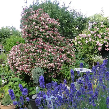 Blue Water 1 * Wustrow (Fischland)